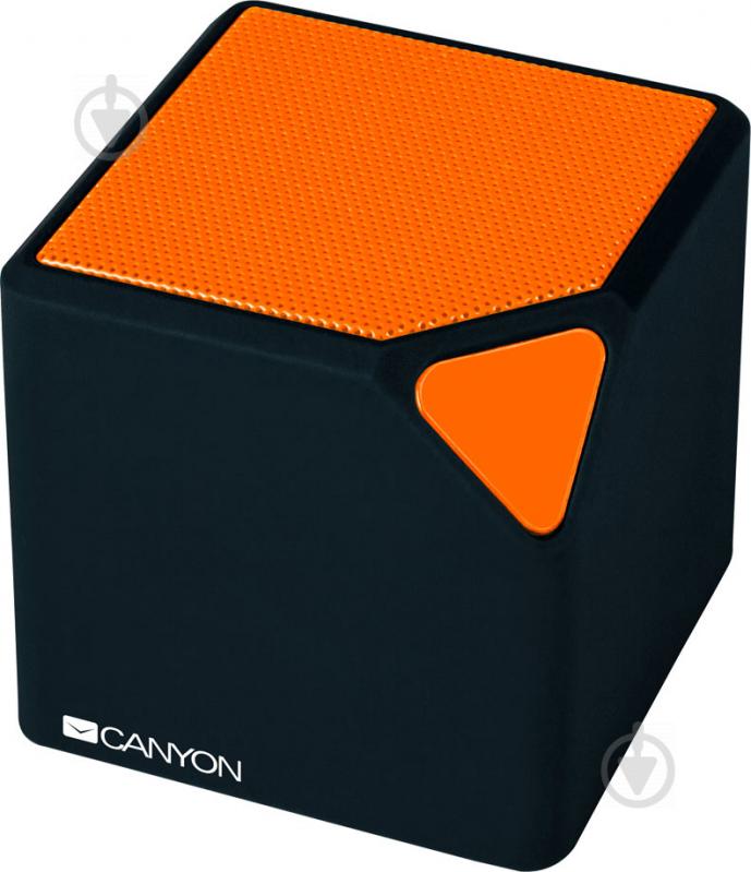 Портативная колонка Canyon Portable Bluetooth Speaker 1.0 black (CNE-CBTSP2BO) - фото 1