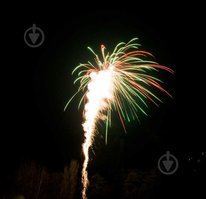 Фейерверк Зажги Небо Да Винчи - фото 2 Фейерверк Зажги Небо Да Винчи - фото 2