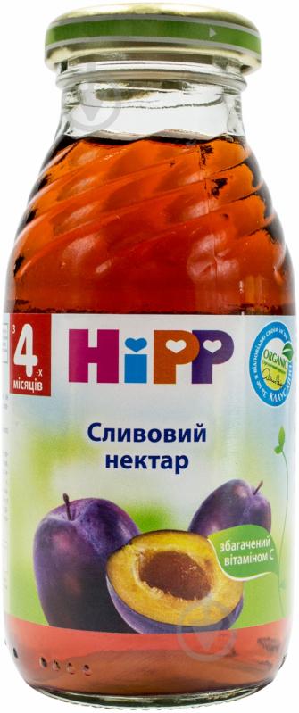 Нектар Hipp Сливовый 200 мл - фото 1