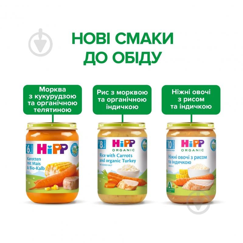 Пюре Hipp Індичка в морквяному пюре із рисом 220 г 9062300108696 - фото 7