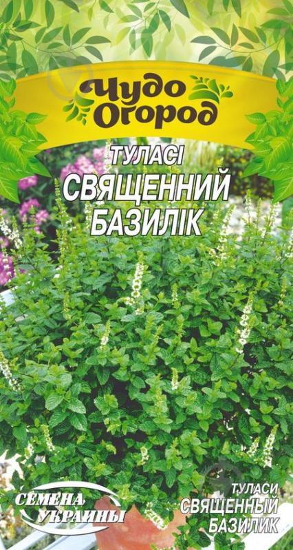 Насіння Насіння України туласі Священний базилік 667200 0,1 г - фото 1