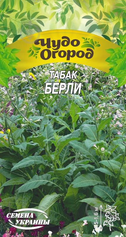 Насіння Насіння України тютюн Берлі 666500 0,1 г - фото 1