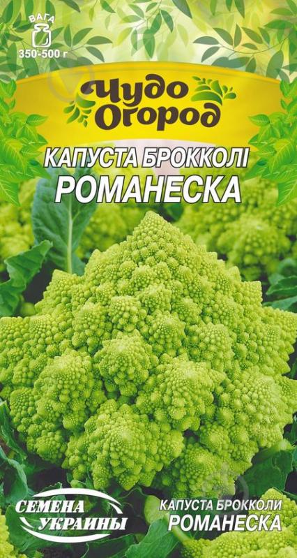 Насіння Насіння України капуста броколі Романеска 662300 0,5 г - фото 1