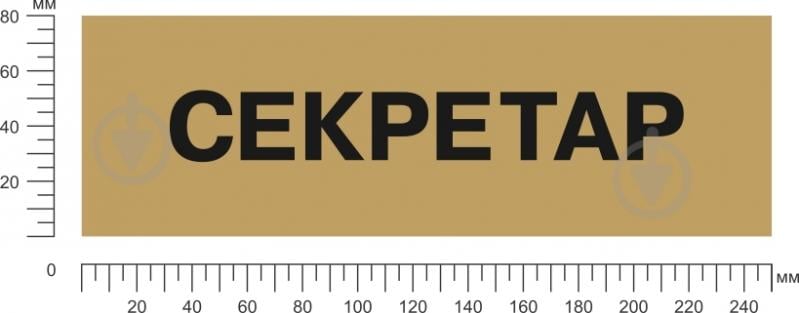 Табличка Секретарь 250х80 мм латунь - фото 2