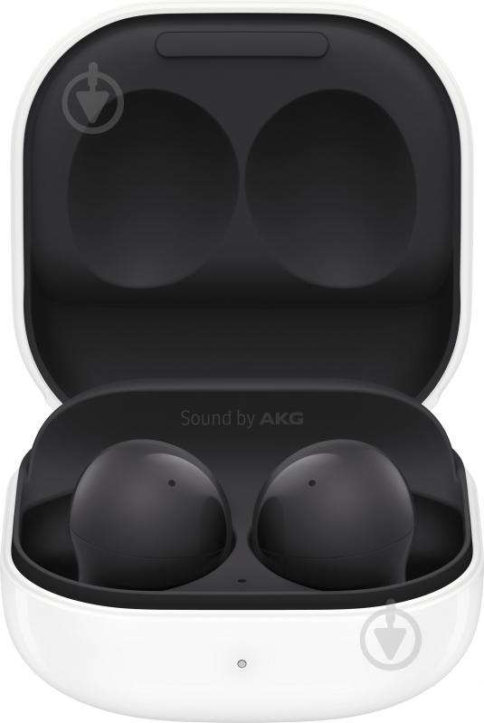 Наушники Samsung Galaxy Buds 2 black (SM-R177NZKASEK) - фото 1