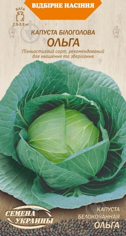 Насіння Насіння України капуста білоголова Ольга 586100 1 г - фото 1