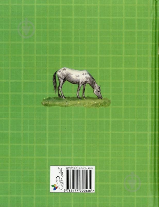 Книга Астрід Ліндгрен  «Детектив Блюмквіст здобуває славу» 978-617-7200-53-5 - фото 2