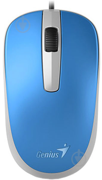 Миша Genius DX-120 USB Blue (31010105103) - фото 1