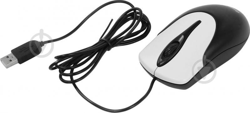 Мышь Genius NS-100 USB (31010232100) black/silver - фото 2