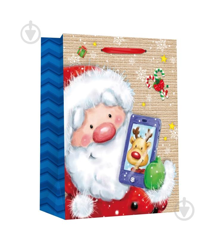 Пакет подарочный MEDIUM Санта в ассортименте - фото 2