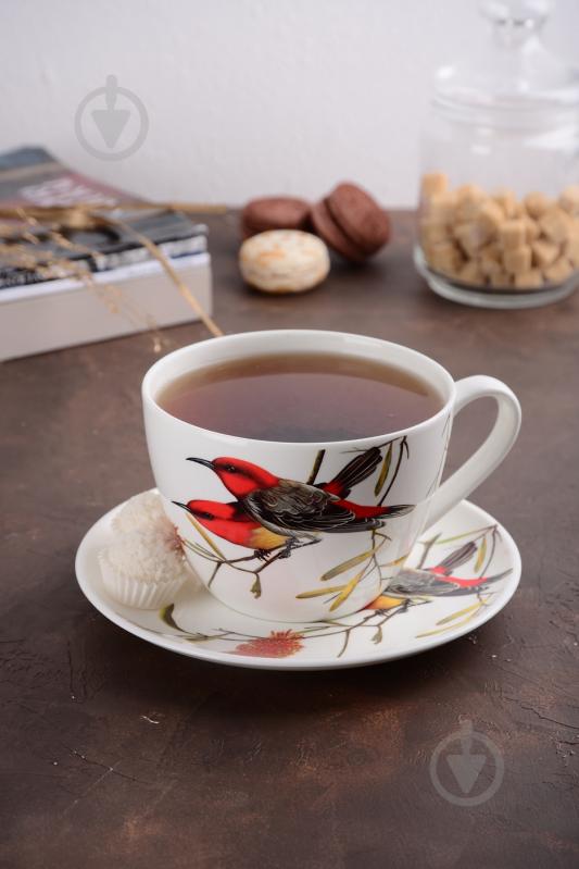 Чашка с блюдцем Limited Edition Bird 550 мл в подарочной упаковке (YF6009) - фото 7 Чашка с блюдцем Limited Edition Bird 550 мл в подарочной упаковке (YF6009) - фото 7