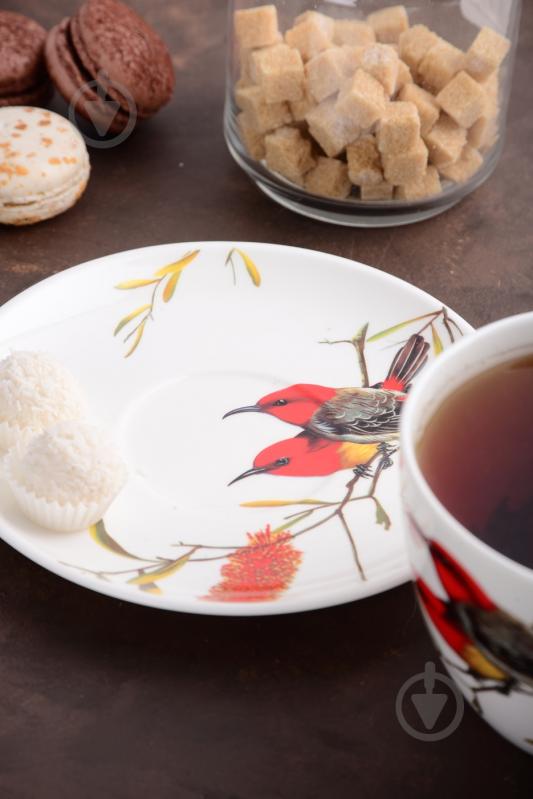 Чашка с блюдцем Limited Edition Bird 550 мл в подарочной упаковке (YF6009) - фото 8 Чашка с блюдцем Limited Edition Bird 550 мл в подарочной упаковке (YF6009) - фото 8