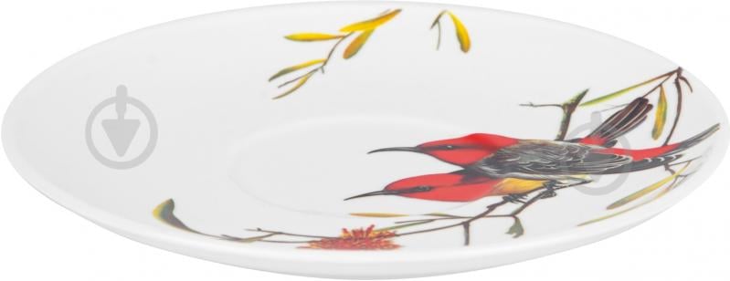 Чашка с блюдцем Limited Edition Bird 550 мл в подарочной упаковке (YF6009) - фото 4 Чашка с блюдцем Limited Edition Bird 550 мл в подарочной упаковке (YF6009) - фото 4