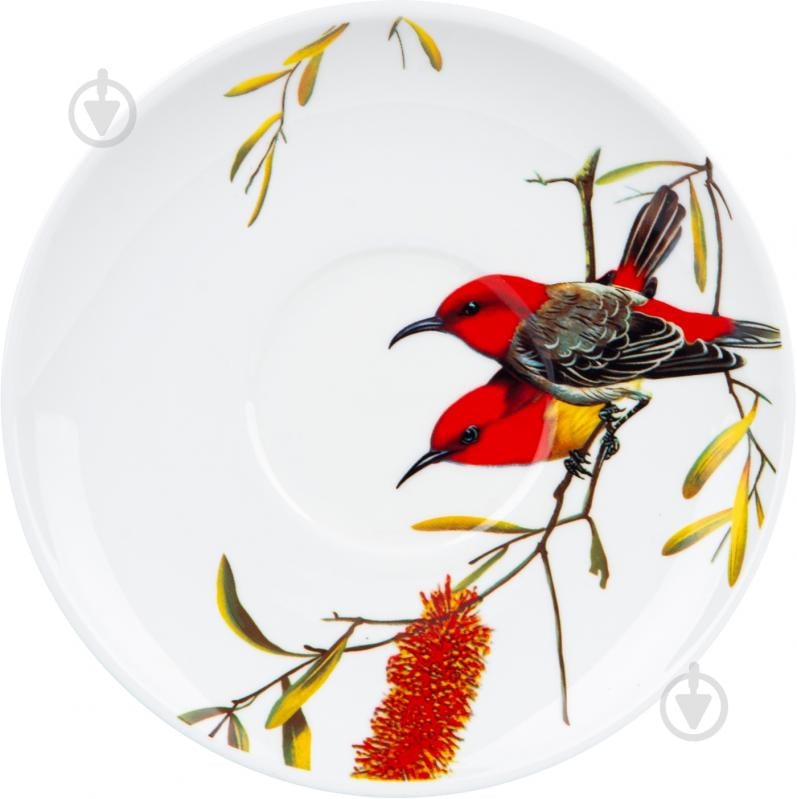 Чашка с блюдцем Limited Edition Bird 550 мл в подарочной упаковке (YF6009) - фото 3 Чашка с блюдцем Limited Edition Bird 550 мл в подарочной упаковке (YF6009) - фото 3