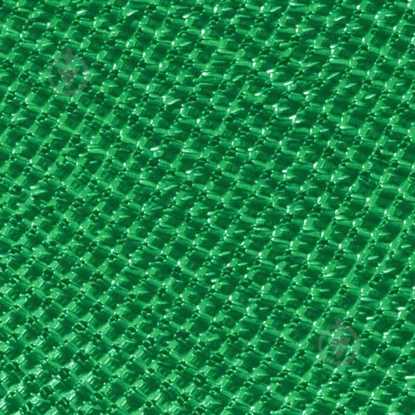 Доріжка BALTPLAST щетиниста брудозахисна зелена 0,88 м (4740069-63) - фото 1 Доріжка BALTPLAST щетиниста брудозахисна зелена 0,88 м (4740069-63) - фото 1