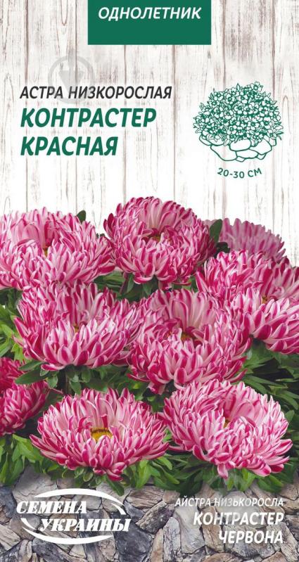 Семена Насіння України астра Низкорослая Контрастер красная 0,2 г - фото 1