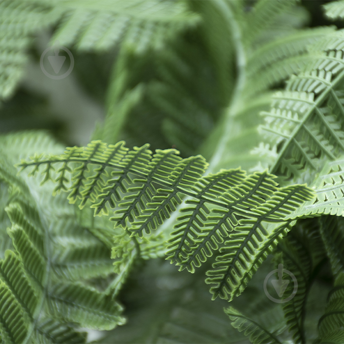 Веточка декоративная Persian fern 65 cм (AV-01) Engard - фото 2