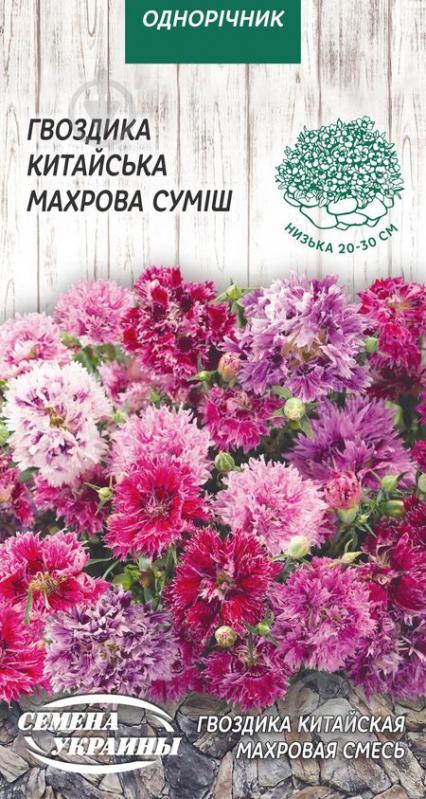 Насіння Насіння України гвоздика китайська Махрова (суміш) 779200 0,2 г - фото 1