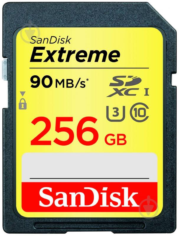 Карта памяти SanDisk SDXC 256GB (SDSDXNF-256G-GNCIN) - фото 1