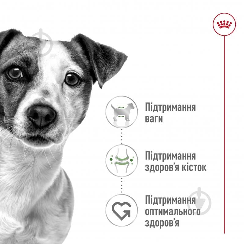 Корм сухий для дорослих собак для малих порід Royal Canin MINI ADULT 8 кг (домашня птиця, рис, кукурудза) 8 кг - фото 7