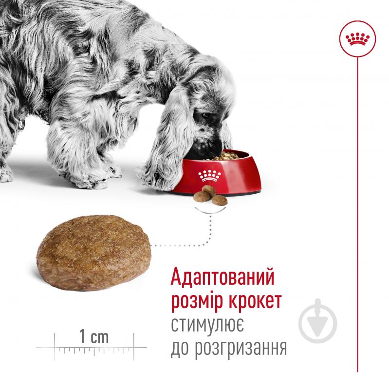 Корм сухий для дорослих собак для середніх порід Royal Canin Medium Adult 7+ 4 кг (домашня птиця, рис, кукурудза) 4 кг - фото 4