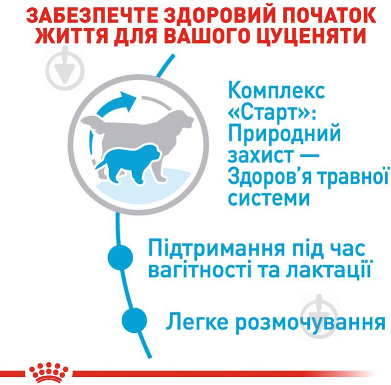 Корм для гігантських порід Royal Canin для цуценят GIANT STARTER 4 кг (домашня птиця) 4 кг - фото 5