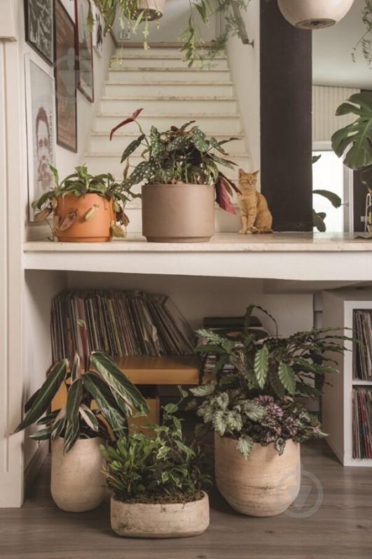 УЦІНКА! Вазон TeraPlast MERCURIO TERRA TENUE 25 см круглий 8,95 л теракот (18204025509) (УЦ №2887) - фото 2