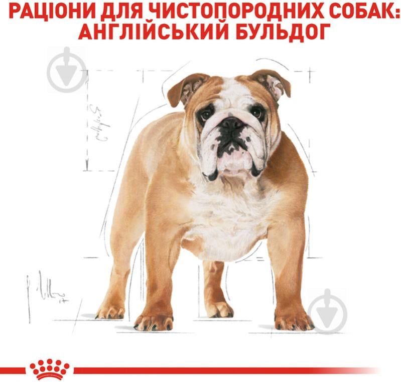 Корм сухий для дорослих собак для середніх порід Royal Canin BULLDOG ADULT 12 кг (домашня птиця) 12 кг - фото 3