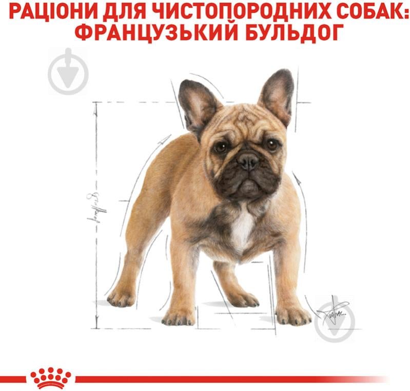 Корм сухой для взрослых собак для средних пород Royal Canin FRENCH BULLDOG ADULT 1,5 кг (злаки) 1,5 кг - фото 5