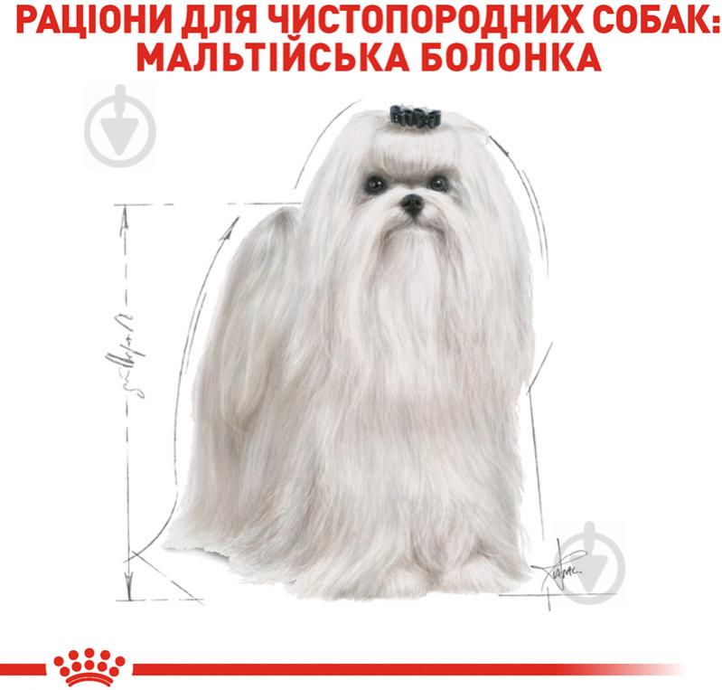 Корм сухой для взрослых собак для средних пород Royal Canin MALTESE ADULT 0,5 кг (злаки) 500 г - фото 3