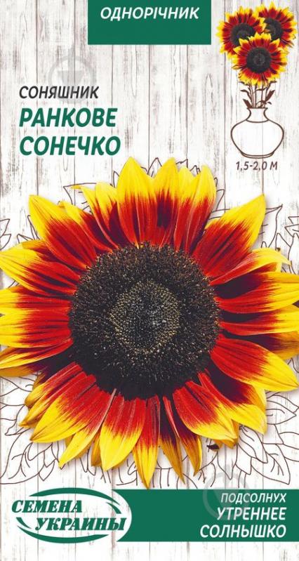 Насіння Насіння України соняшник декоративний Ранкове сонечко 799600 1 г - фото 1