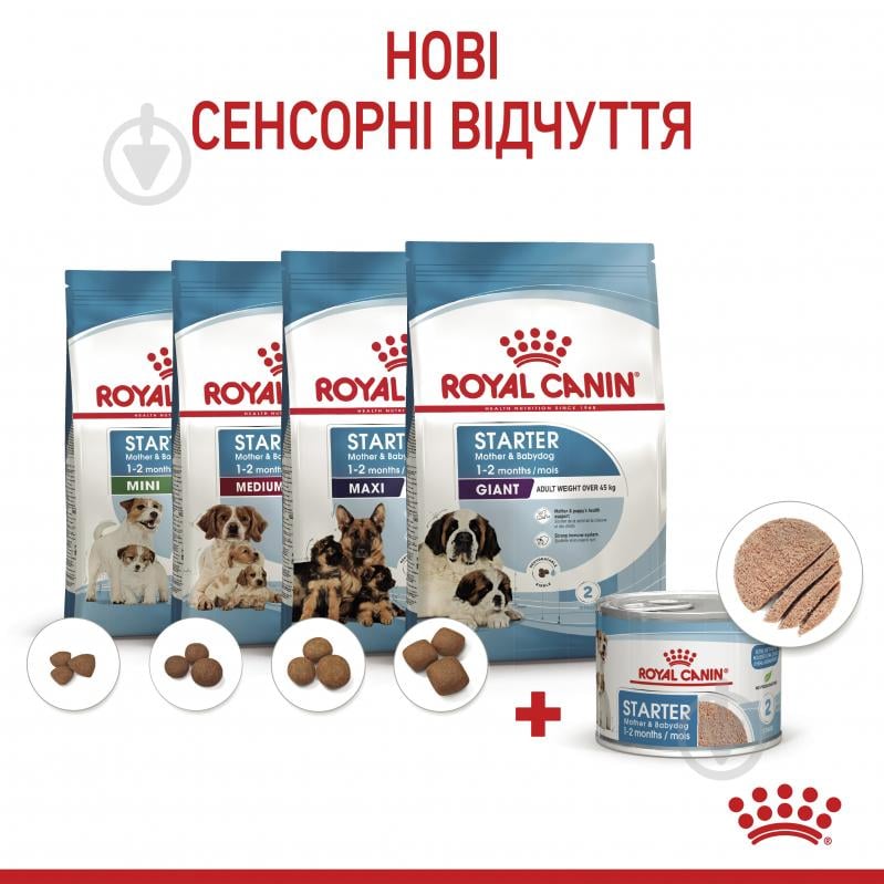 Корм вологий для цуценят для усіх порід Royal Canin STARTER MOUSSE 195 г - фото 8