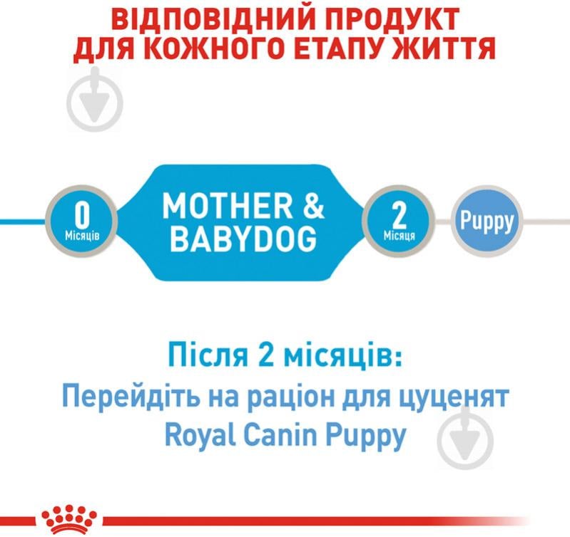 Корм влажный для щенков для всех пород Royal Canin STARTER MOUSSE (Стартер Мазер & Бебидог мус), банка, 195 г 195 г - фото 7