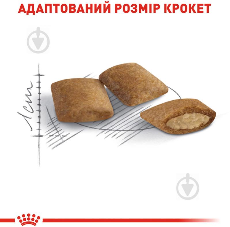 Корм сухой для стареющих кошек от 12 лет Royal Canin Ageing 12+ мясо птицы 400 г - фото 4