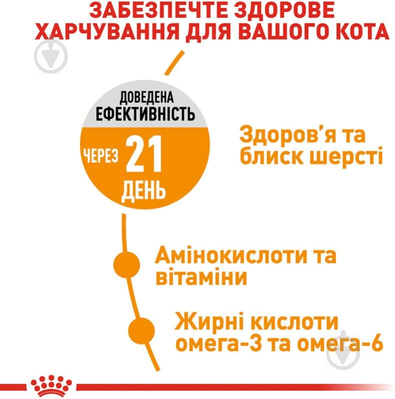 Корм сухий для дорослих котів віком від 12 місяців до 7 років для підтримання здоров'я шкіри - фото 4