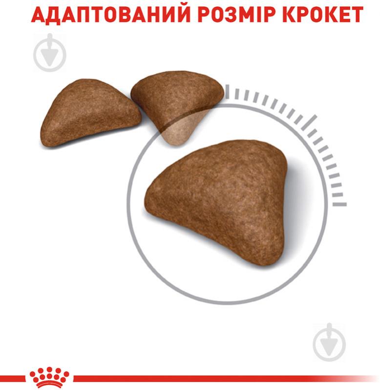 Корм сухой для взрослых кошек для выведения комочков шерсти Royal Canin Hairball Care домашняя птица, кукуруза, рис 2 кг - фото 3