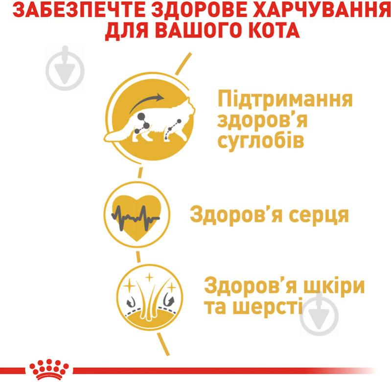 Корм сухий для дорослих котів породи мейн-кун Royal Canin Maine Coon Adult домашня птиця, кукурудза, рис 400 г - фото 5