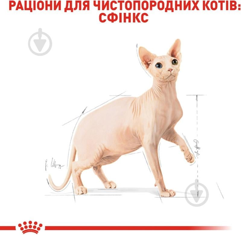 Корм сухой для взрослых кошек породы сфинкс Royal Canin Sphynx Adult домашняя птица, кукуруза 2 кг - фото 3