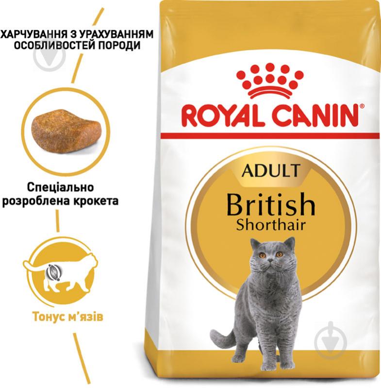 Корм сухий для дорослих котів породи британська короткошерстна Royal Canin British Shorthair Adult птиця 4 кг - фото 2