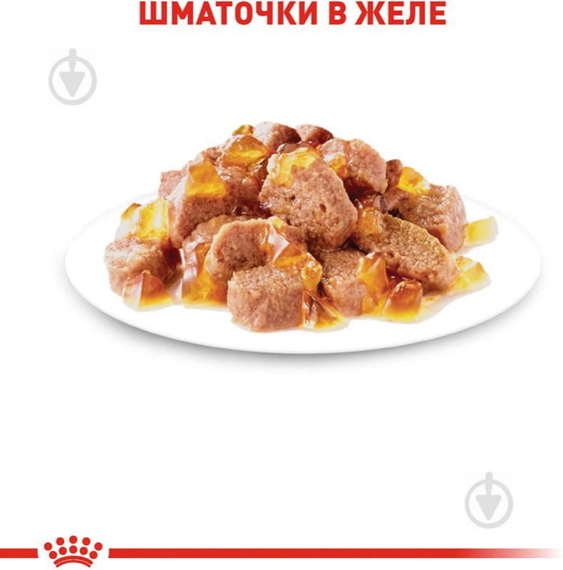 Корм вологий для дорослих котів Royal Canin Instinctive in gravy в желе м’ясо 85 г - фото 4