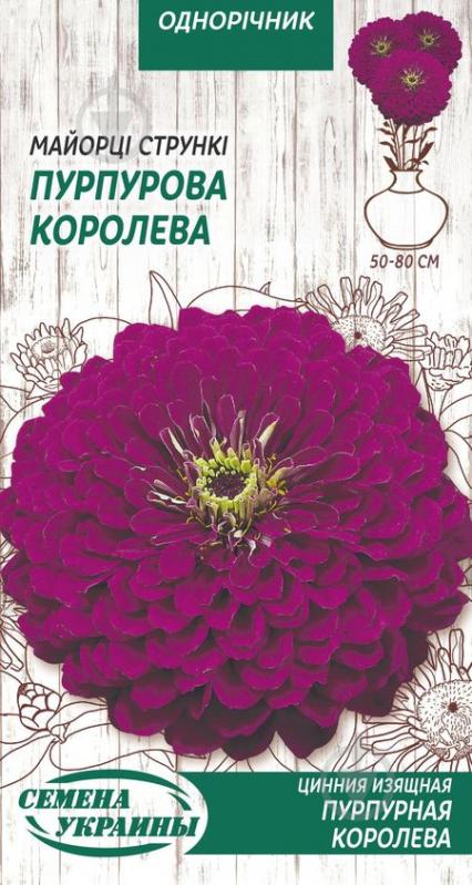 Семена Насіння України цинния изящная Пурпурная королева 806000 0,5 г - фото 1