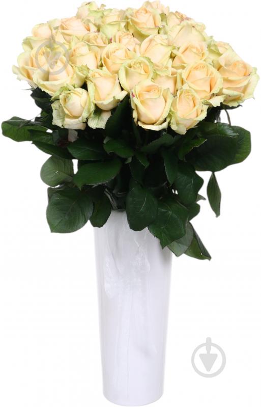 Роза Пич аваланч одноголовая классическая 50 см персиковая (Украина) - фото 2