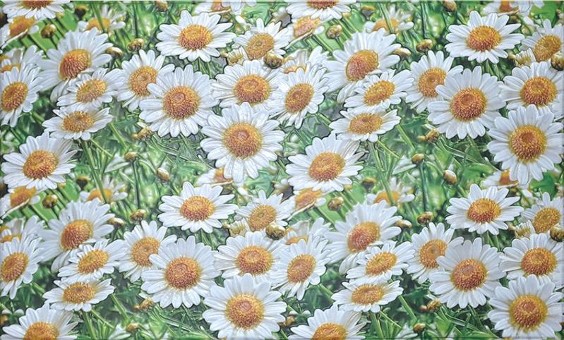 3D-панель с ПВХ Ромашки 602х1002 мм - фото 1 3D-панель с ПВХ Ромашки 602х1002 мм - фото 1