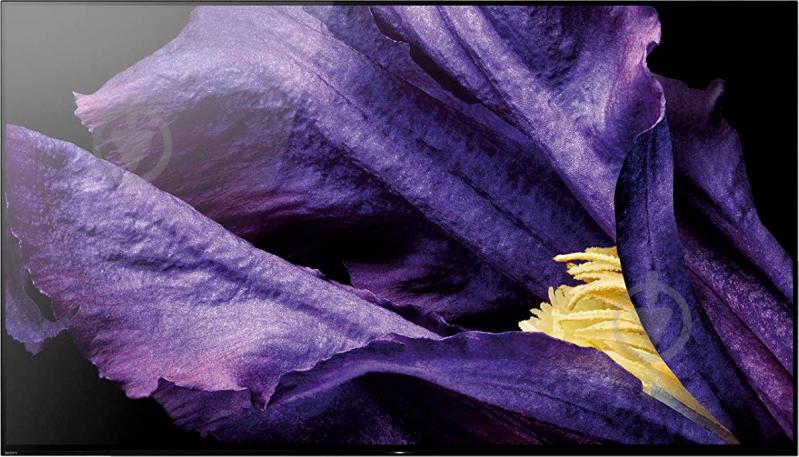 Телевизор Sony KD65AF9BR2 AF9 - фото 1