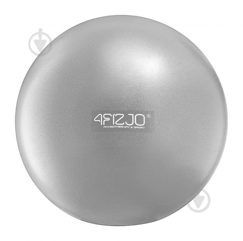 Мяч для фитнеса 4fizjo 22 см Grey (P-5907739314499) d22 см 4FJ0326 - фото 4