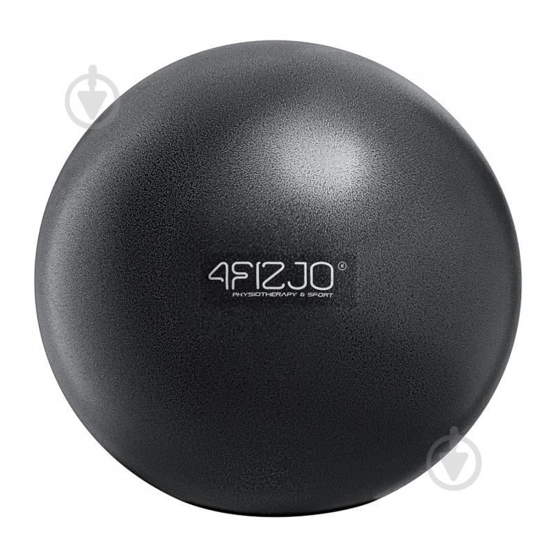 Мяч для фитнеса 4fizjo 22 см Black (P-5907739310569) d22 см 4FJ0139 - фото 2