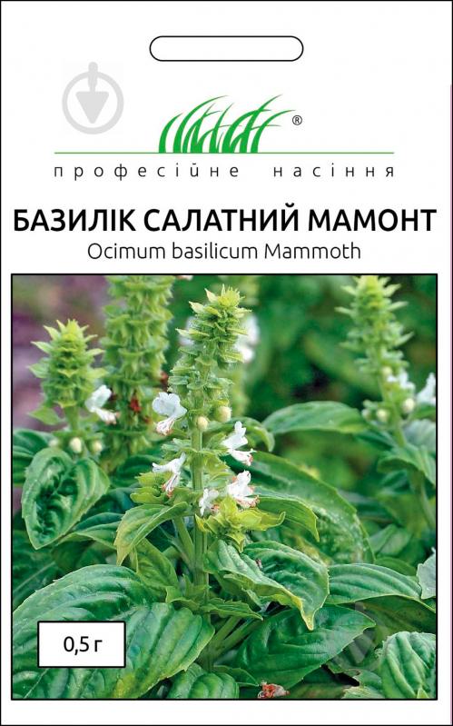 Семена Професійне насіння базилик зеленый салатный Мамонт 0,5 г - фото 1