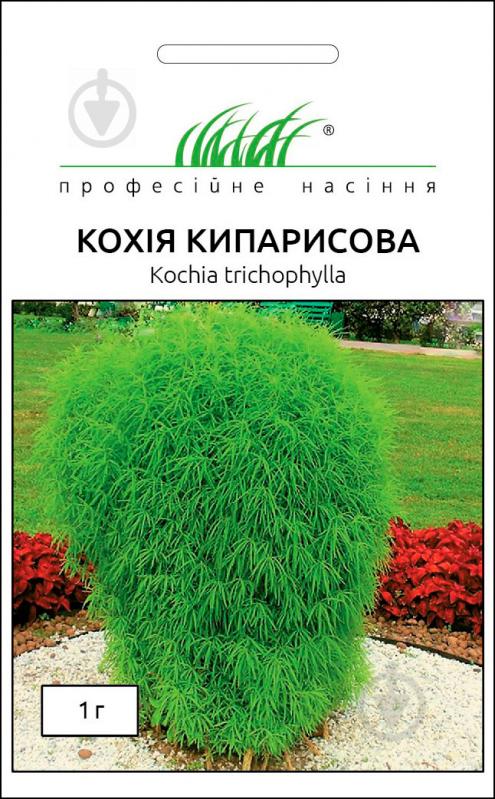 Семена Професійне насіння кохия кипарисовая 1 г - фото 1