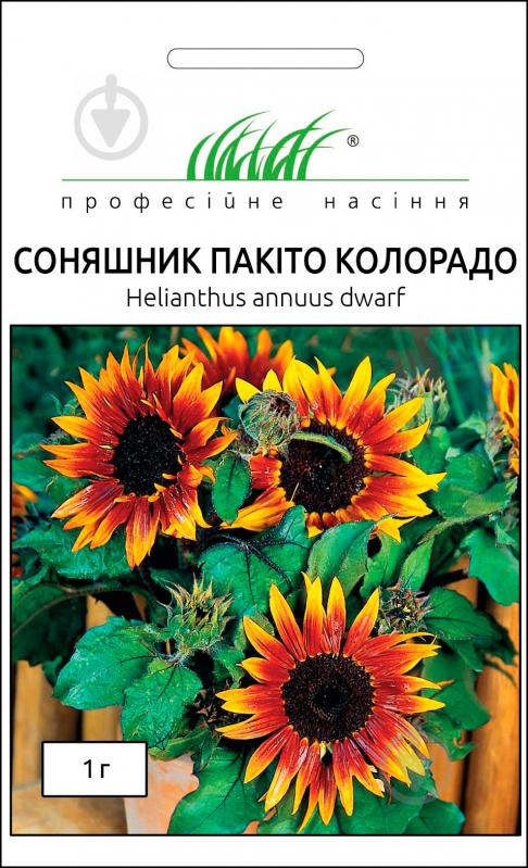 Семена Професійне насіння подсолнух декоративный Пакито Колорадо смесь 1 г - фото 1