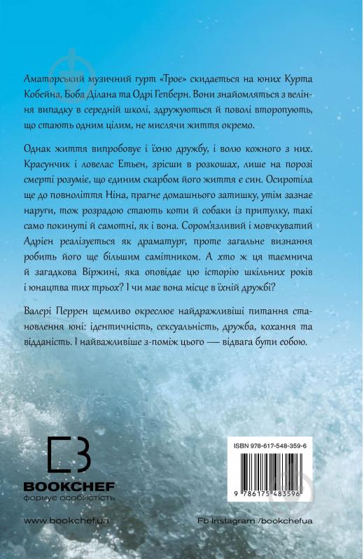 Книга Валері Перрен «Троє» 978-617-548-359-6 - фото 3